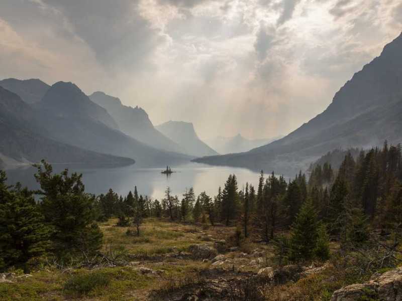 Best Nursing Website